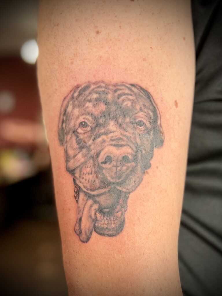 Realism dog portrait tattoo by Sideshow Tattoo and Piercing San Diego