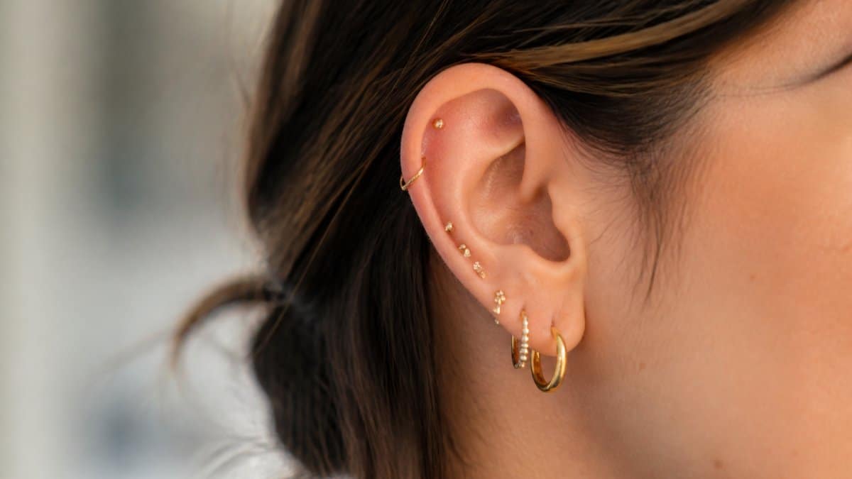 Close-up of a person's ear with multiple healed piercings wearing small gold hoops and studs, soft natural lighting